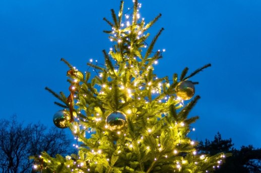 Rozsvěcení stromečku s koledami