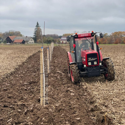 Sázení švestkové aleje a přednáška o Vietnamu 17. 11. 2023
