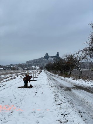 nový článek